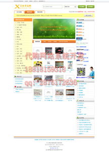 转运系统企业完整设计与网页制作价格及型号规格详解