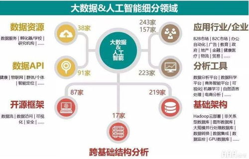 大数据分析 解锁数据处理与存储服务的无限潜能